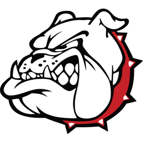 Navarro Logo