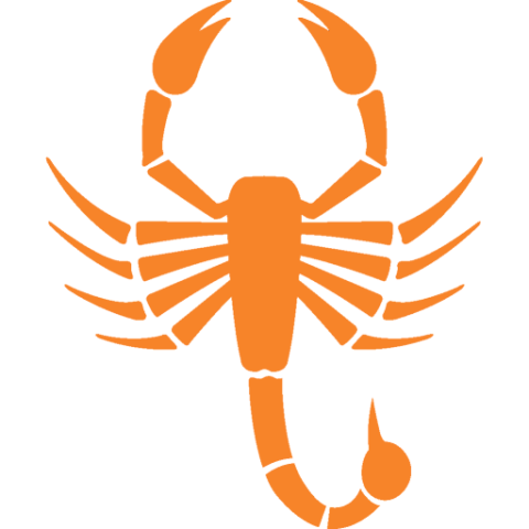 Texas Southmost Logo